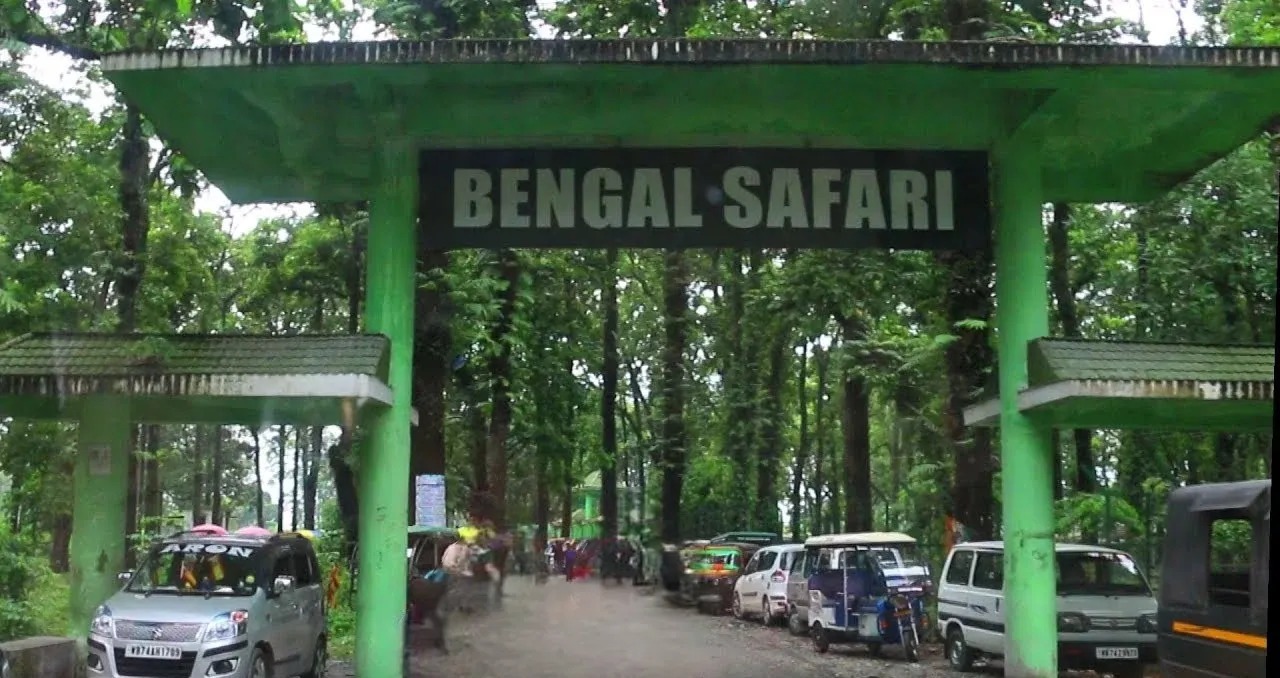 Tourists waiting to see ‘Suraj-Tanaya’ in Bengal Safari Park