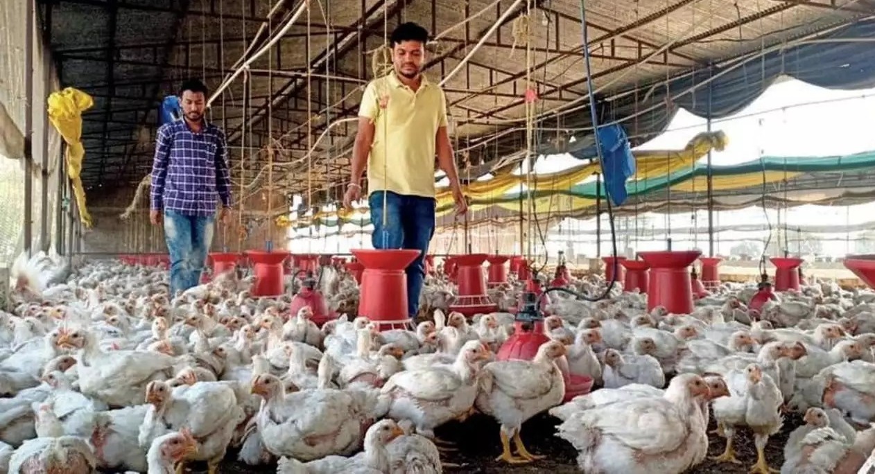 Sikkim’s poultry farmers interceptes vehicles carrying illegal poultry imports