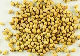 Coriander futures prices upsurge on demand