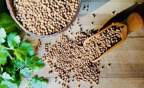 Coriander futures prices upsurge on demand