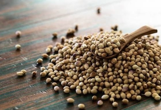 Coriander futures prices upsurge on demand