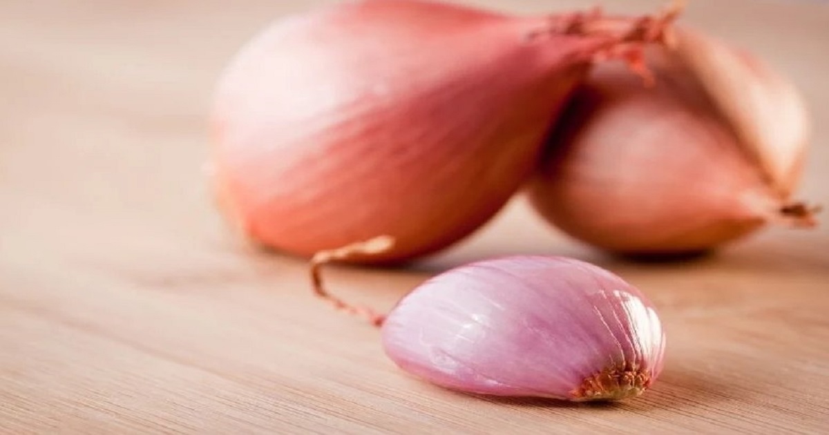Harness the power of onion for better health