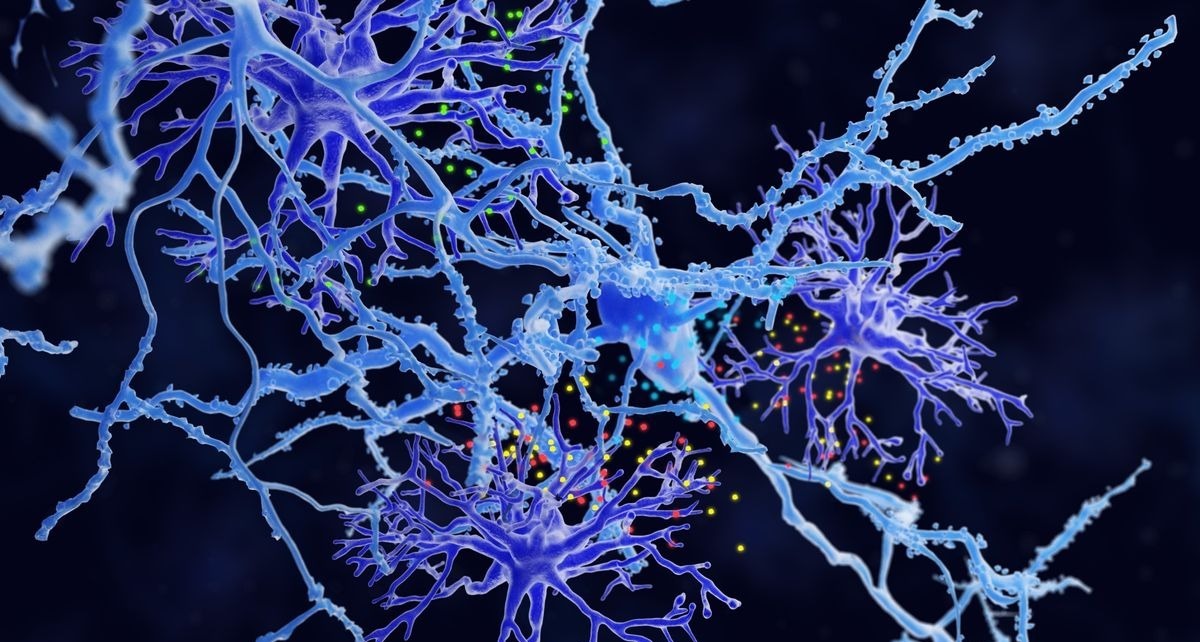 Walking and weights can grow new neurons