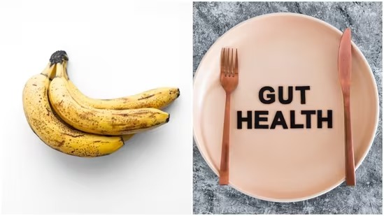 AIIMS gastroenterologist suggests low-FODMAP