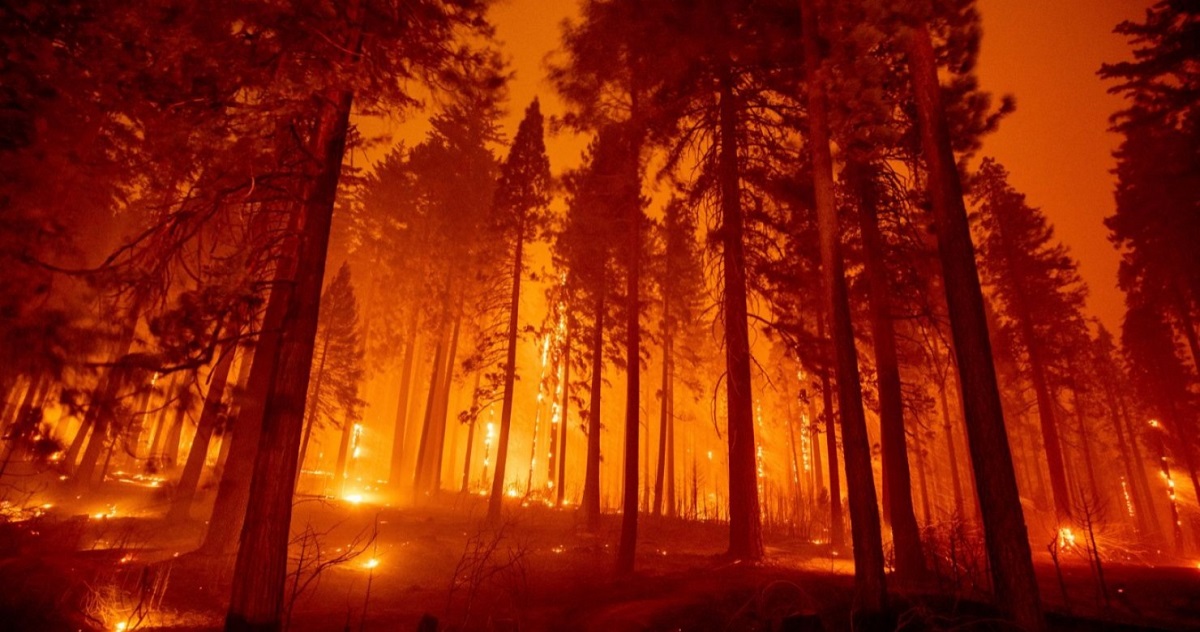 Thousands Evacuated as Massive Fires Sweep Through Northern California