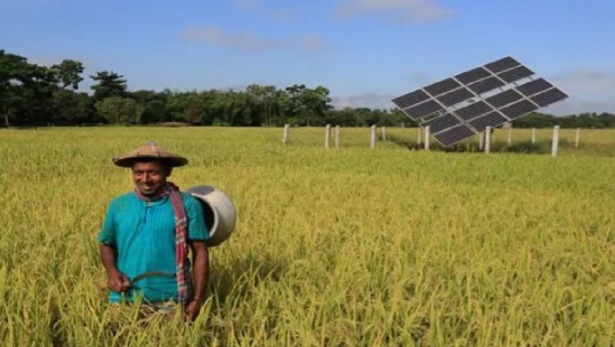 Dhaka Pushes for Greener Future with Massive Solar Initiative