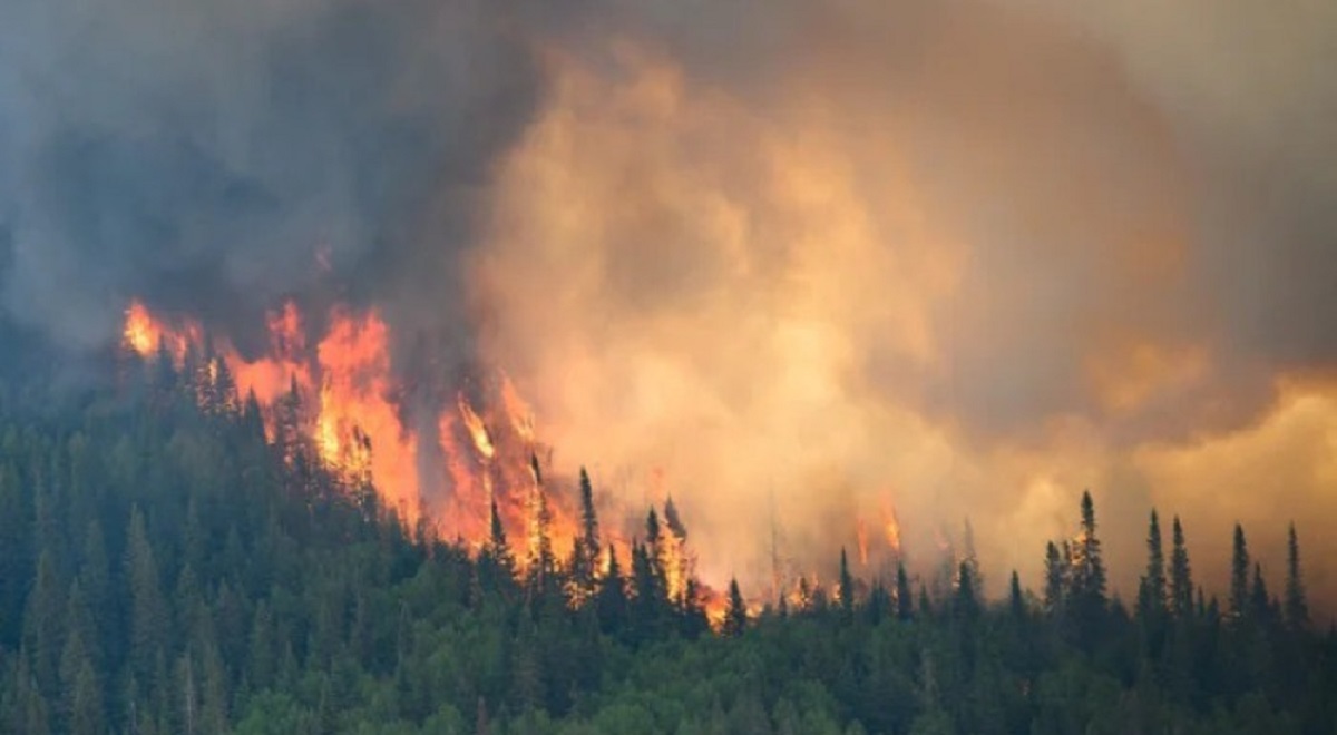 Canada Faces Record Wildfire Losses, Pushes for National Climate Insurance